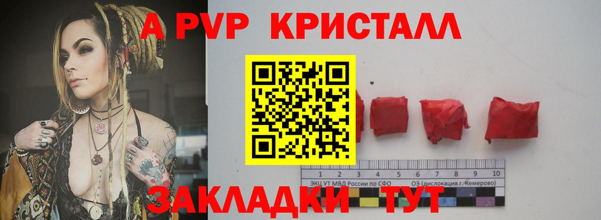 Альфа ПВП СК КРИС Моздок