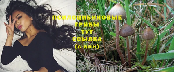 MESCALINE Михайловск