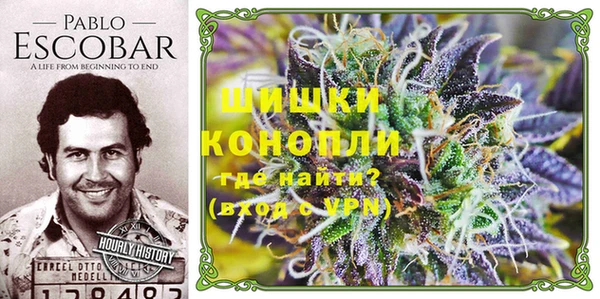 шишки Михайлов