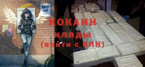 шишки Михайлов