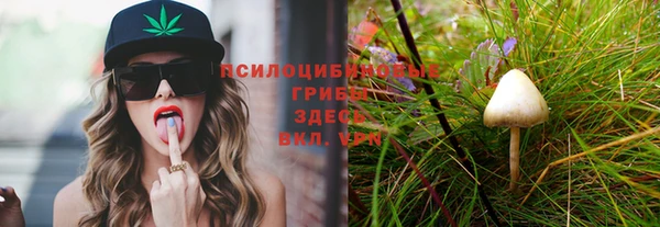 MESCALINE Михайловск