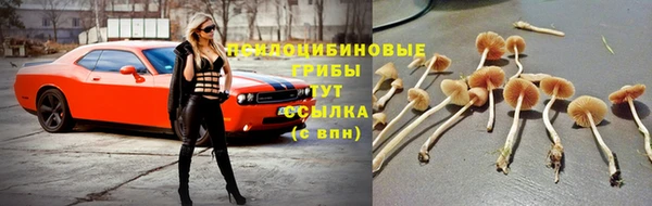 Альфа ПВП Михайловка
