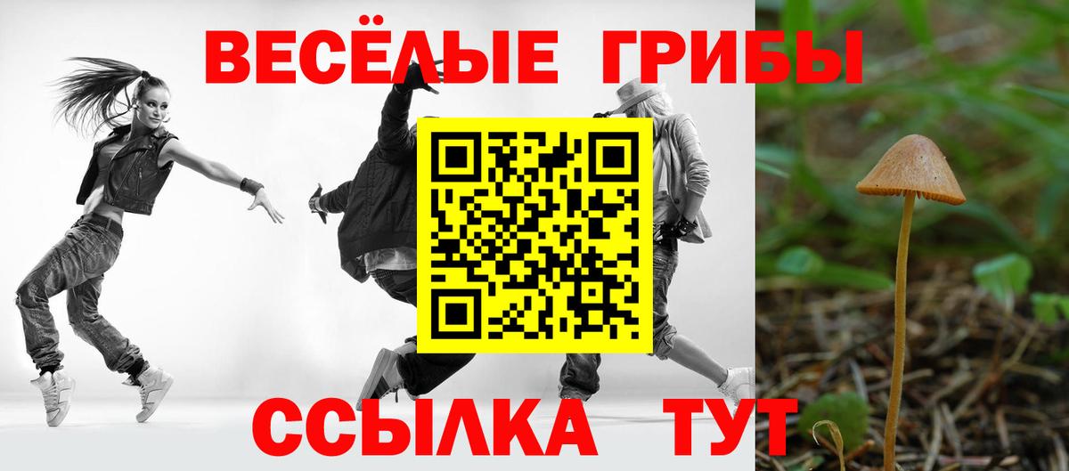 Моздок  Псилоцибиновые грибы Psilocybe  Вход с VPN 