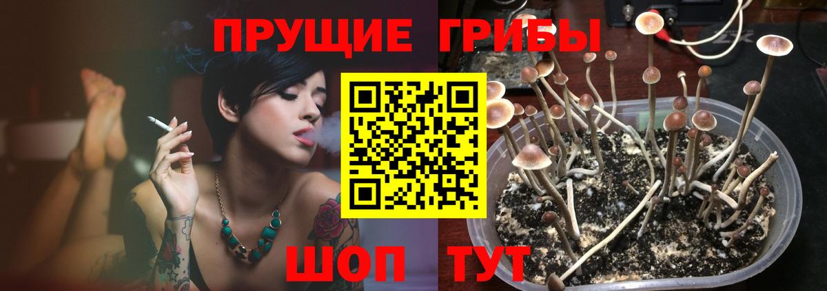 A-PVP Моздок